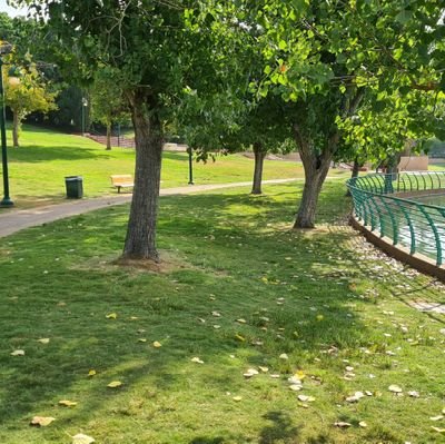 OzYousef1's profile picture. 