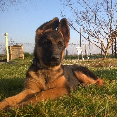 RomainFCU's profile picture. Romain | ~ FCU ~ | 🔴 @LFC & @OL  | #LSF