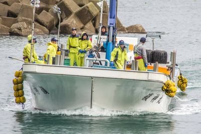 ryoujinmaru35's profile picture. 山形県の片田舎で定置網漁業❗漁獲物を中心に載せてみます🐟
乗組員募集中✨詳しくはDMにて🫡　
#定置網漁業　#豊洲市場　#トレーサビリティ
