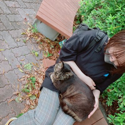 mikihinako's profile picture. 