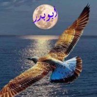 💙abdulaby أبوبدر💙 (@abdulaby1) 's Twitter Profile
