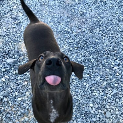 PSPP_SKN's profile picture. 🐃 ขี่ควายปล่อยมือได้ 😋