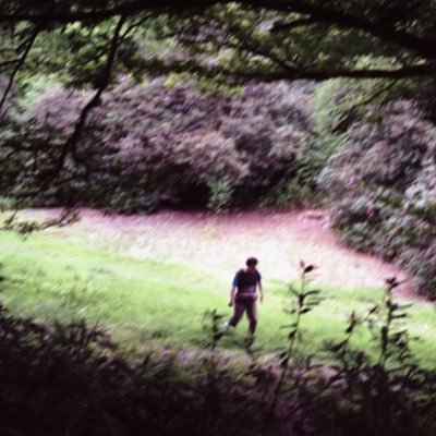 sfvenmusic's profile picture. stonks