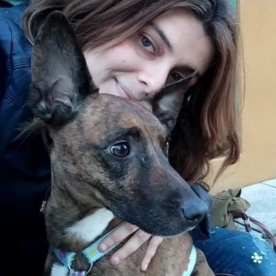 Niña elegida que captura shinies, busca las 7 Bolas de Dragón, derrota titanes y sube videos a YouTube 💫 Plus Ultra!! 🎮