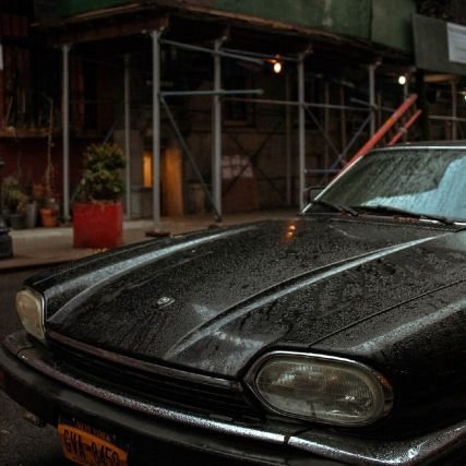 EvansGustavo6's profile picture. Liberal Scorpio