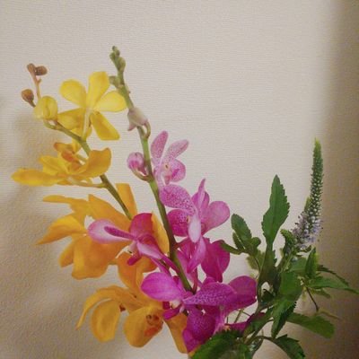 chat__alors's profile picture. 社会人。語学の勉強とかしてます