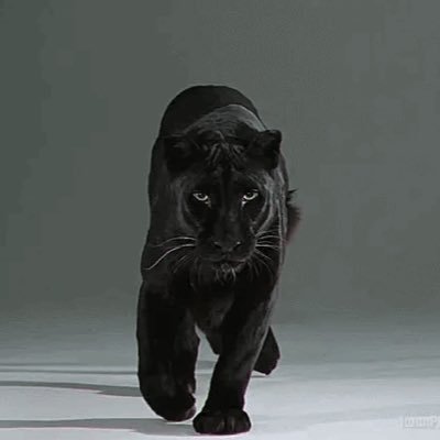 asktech12's profile picture. 