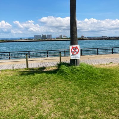 v43b8w's profile picture. 超初心者です 勝手にフォロー おします 御免なさい フォローして下さる方有難う御座います 気になるものを見返す為においてます
