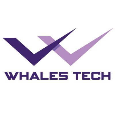 whalestech Profile Picture