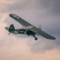 Humble Little Warbirds (@humblewarbird) 's Twitter Profile