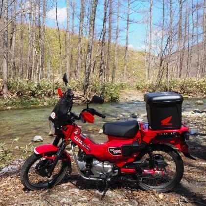 ワンコたちを溺愛するバイク好きの♂
🐩コナツ11才とモモ10才のトイプー姉妹が愛娘🐩🐩
ハーレーXR1200とCT125ハンターカブでのんびりツーリング🛵 

⚠MotoGP放送時TL上で騒ぎます⚠🏍

ワンコ9割バイク1割のバイク垢🐩🐩🛵