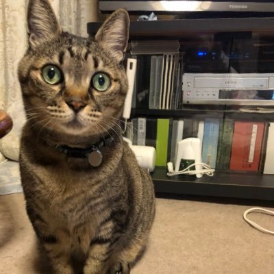 i9ILbEKm3LjAfpc's profile picture. 