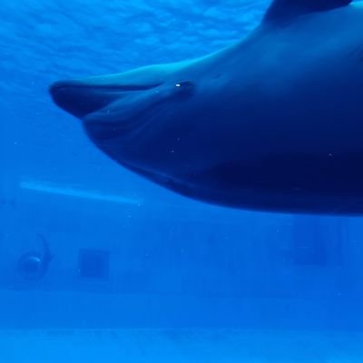 nanixxxooo's profile picture. 別にの類義語。ナゴヤ外あいち。overさー。 婚活かもしれないもの。相談所はやっと退会できました。結局紹介していただいた方とお付き合い開始。結婚まで頑張らないといけない垢の記録。