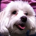 Sherry Carr - @sherryjcarr - Twitter