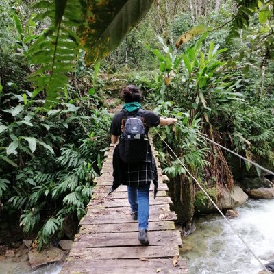 magalopee's profile picture. JavaScript magician's apprentice.