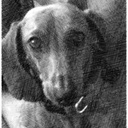 Robert Cook - @Robert__Cook - Twitter