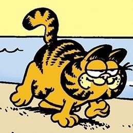 (he/him) ♍ 20 || professional garfield enthusiasts