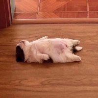 Marinittssss (@mariinaluucero) 's Twitter Profile