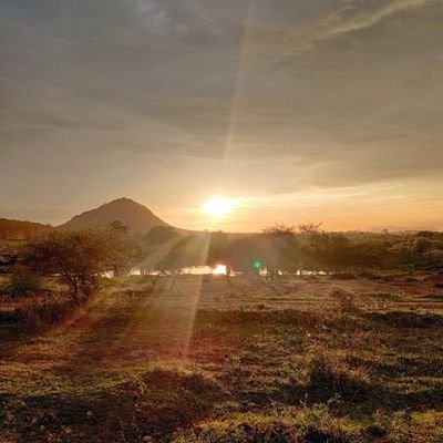 BiTee69103998's profile picture. 