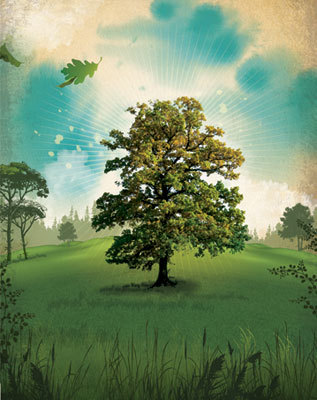 SJwaid's profile picture. 