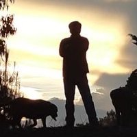 Guillermo Maya (@guillermomaya18) 's Twitter Profile Photo