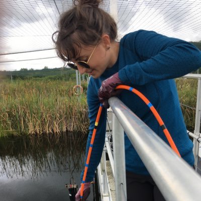 Freshwater ecologist. Research scientist @OFBiodiversite. Interested in the impact of multiple stressors on lake ecosystems. 🇪🇺