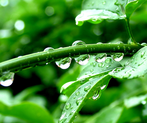 dbap1014's profile picture. 소소한 행복/느리게 그리고 인간답게..