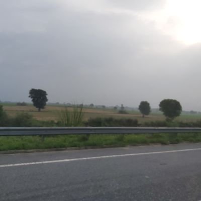 ethicalwarriorr's profile picture. Fight for men's rights, expose fake feminism!!