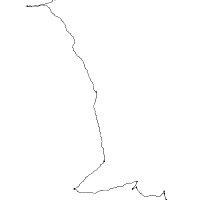 hyphae drawing collective (@hyphaedrawing) 's Twitter Profile