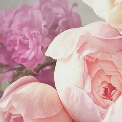 Baralhoy's profile picture. ‏هلا وسهلا بكم