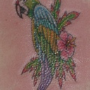 polly jones - @musicbugg - Twitter