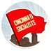 Cincy Socialists (@CincySocialists) Twitter profile photo