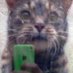 khi~ (@suchehund) Twitter profile photo khi~ (@suchehund) Twitter profile photo