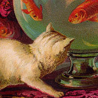 I'm a stay at home wife, have a wonderful husband and two wonderful kitties. You can follow me at http://t.co/BxpIJ0Ews3