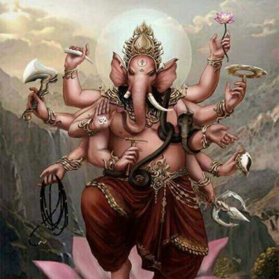 pporschejubjub's profile picture. ทีวี ภาพยนตร์ ดนตรี สุขภาพ ข่าวทั่วไป