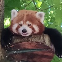 Nazwex (@nazwex) 's Twitter Profile Photo Nazwex (@nazwex) 's Twitter Profile Photo