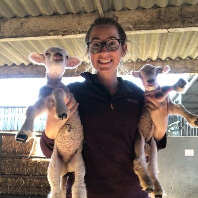 Currently take photos of sheep for a living aka marketing. Have worked in farming for 8yrs, from livestock to grain labs… Passionate about outdoor education!