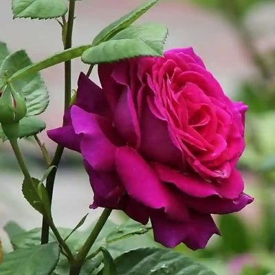 Oviraj99952753's profile picture. Hot boy