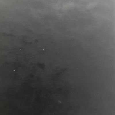 6a670eb5bf1f4ec's profile picture. 