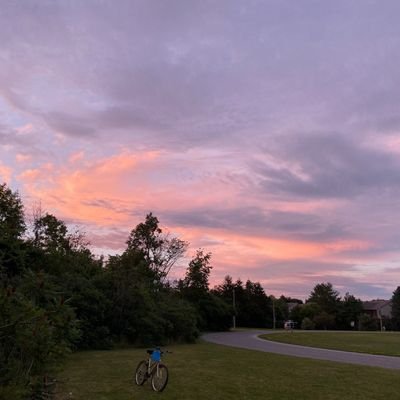 alfa_2018's profile picture. 一点浩然气
千古快哉风