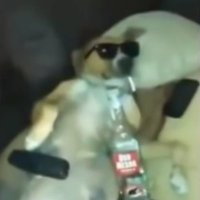 Lobex :D (@lobexd) 's Twitter Profile