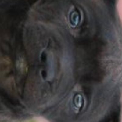 weer1414's profile picture. 