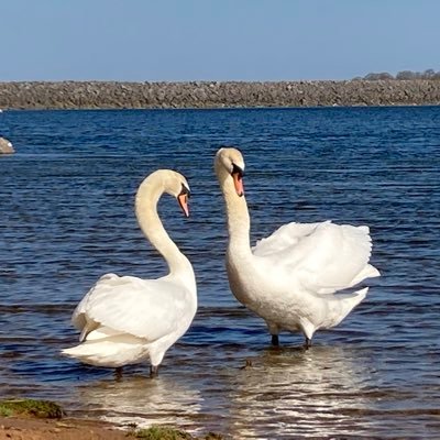 Farm Discovery Coordinator @CountryTrust. South Lincs, Rutland, North Cambs