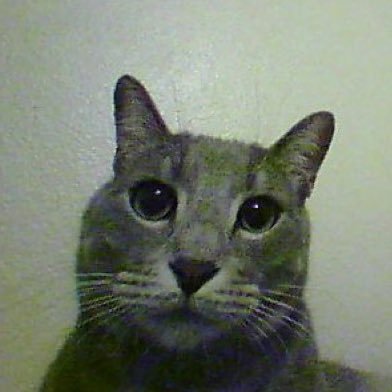 UNIUM92010126's profile picture. 