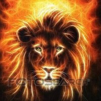 البقاء للاقوة (@sigomyrbcs0k5hk) 's Twitter Profile