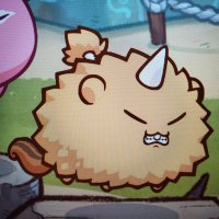 Lei_No_Ka_'Oi (@lei_no_ka_oi) 's Twitter Profile