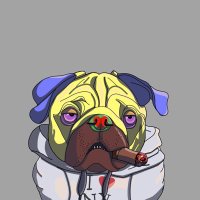 Big Luci (@lucianocrpyto) 's Twitter Profile