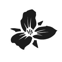 Trillium Brewing(@trilliumbrewing) 's Twitter Profile Photo