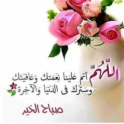 dina_fadol's profile picture. Love insect