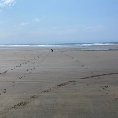 missvaginaboss's profile picture. 